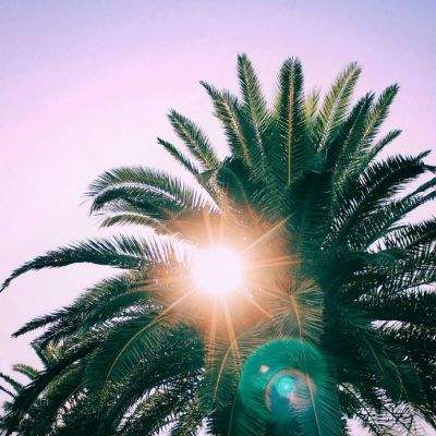 印尼部长：若镍、煤炭价格维持高位 或放宽生产配额