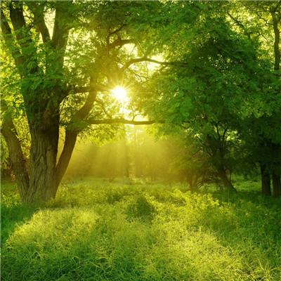 中方回应特朗普向伊朗提和平方案：停火止战是当务之急