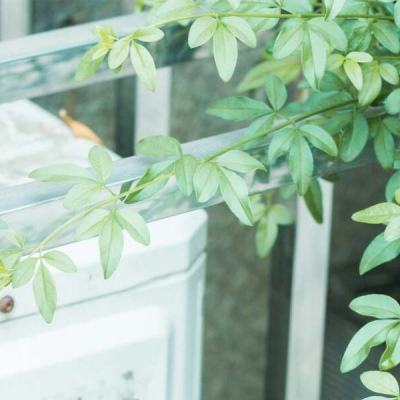 6686网页版登录方式手机版